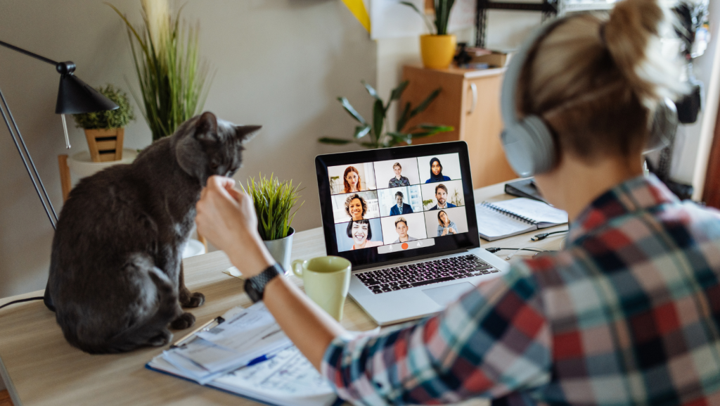 woman patting cat and on a video call working from home on a flexible work request